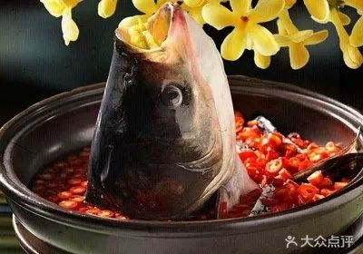 婁底九龍魚頭店的價格范圍是多少（婁底九龍魚頭店價格范圍）