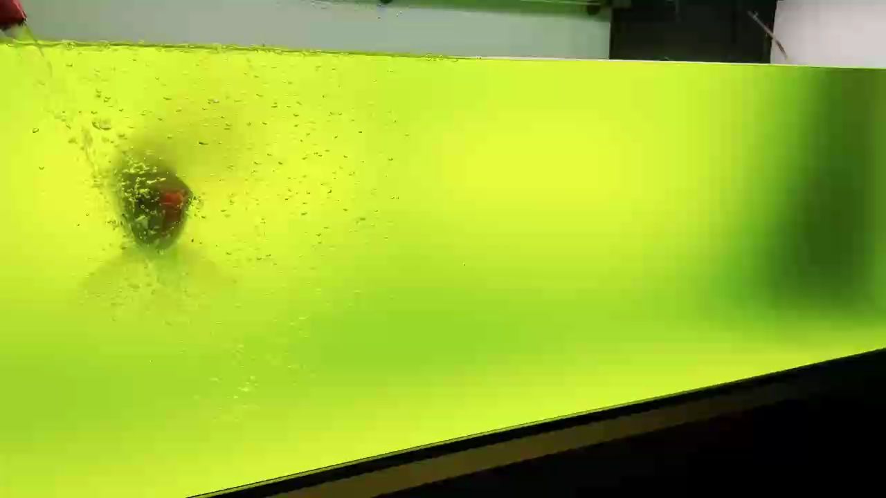 [deyi][deyi][ku]（ai在教育領域的應用與挑戰）