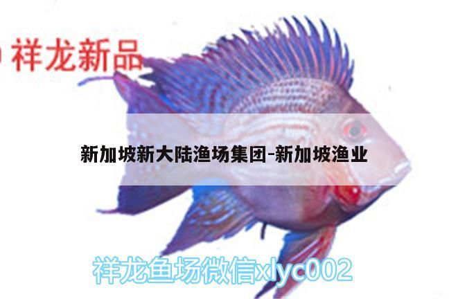 新加坡新大陸漁場集團:新加坡漁業 新加坡新大陸漁場集團:新加坡漁業 觀賞魚百科
