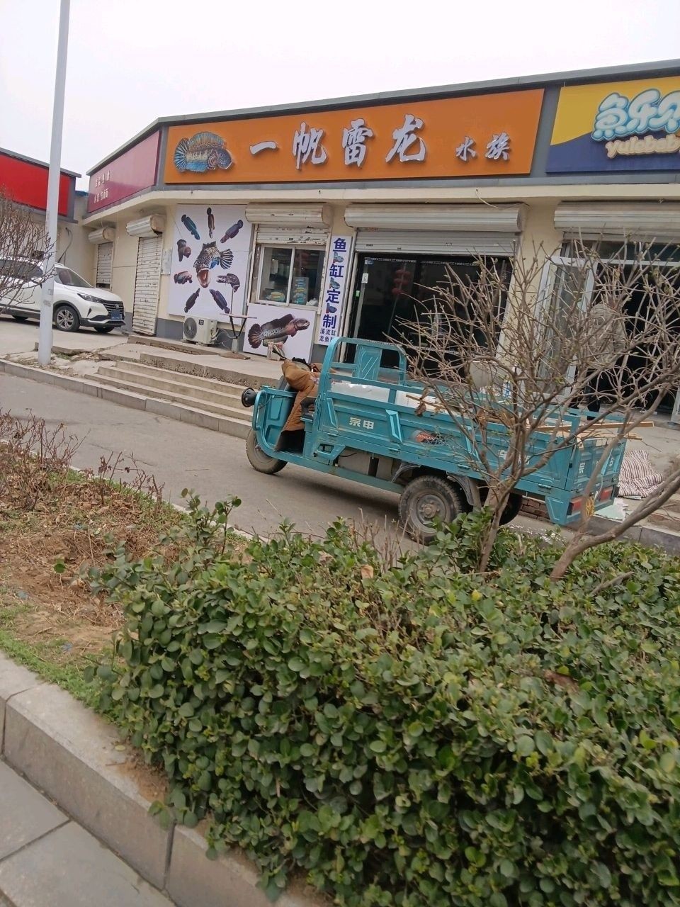 鹿泉區一帆雷龍水族店營業時間是？（如何聯系鹿泉區一帆雷龍水族店）