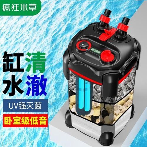 有哪些魚缸過濾系統適合龍虎混養？（適合龍虎混養的幾種魚缸過濾系統）