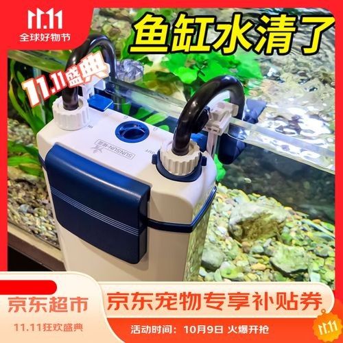 有哪些魚缸過濾系統適合龍虎混養？（適合龍虎混養的幾種魚缸過濾系統）
