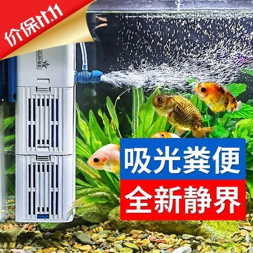 有哪些魚缸過濾系統適合龍虎混養？（適合龍虎混養的幾種魚缸過濾系統）