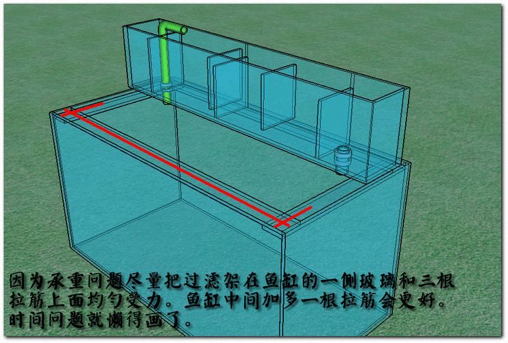 有哪些魚缸過濾系統適合龍虎混養？（適合龍虎混養的幾種魚缸過濾系統）