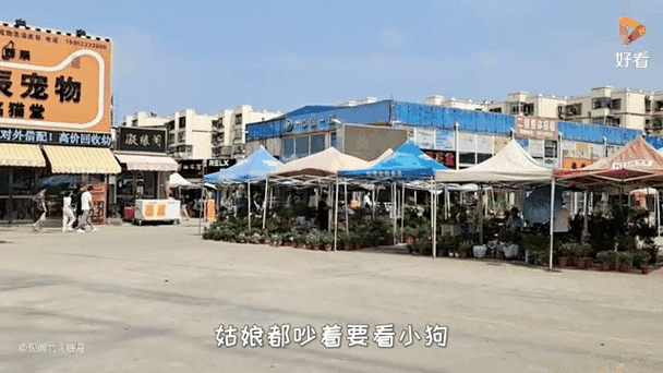 如何前往天津龍魚批發市場