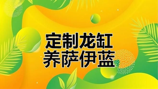 薩伊藍和龍魚混養需要多大的魚缸（薩伊藍和龍魚混養需要多大的魚缸尺寸）