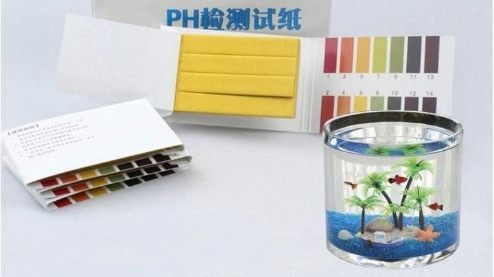 有哪些品牌的水質檢測試紙推薦？