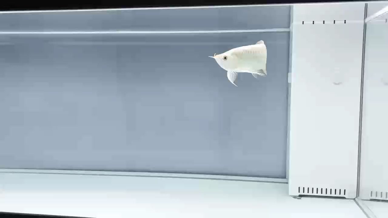 開燈看看