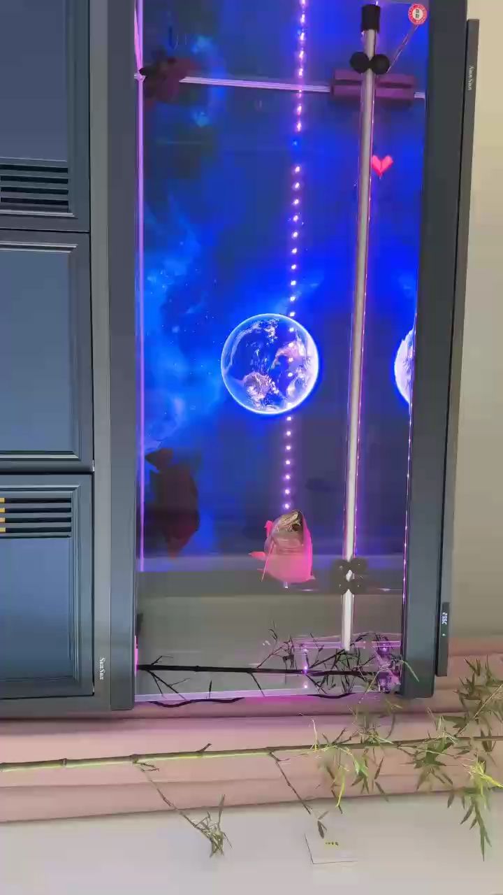 好久沒更新了，打卡