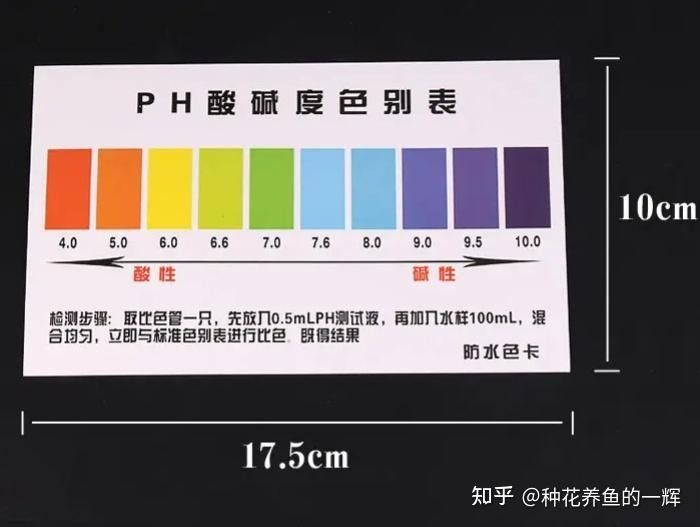 龍魚缸加鹽后如何檢測水質？（魚缸加鹽后如何進行水質檢測）