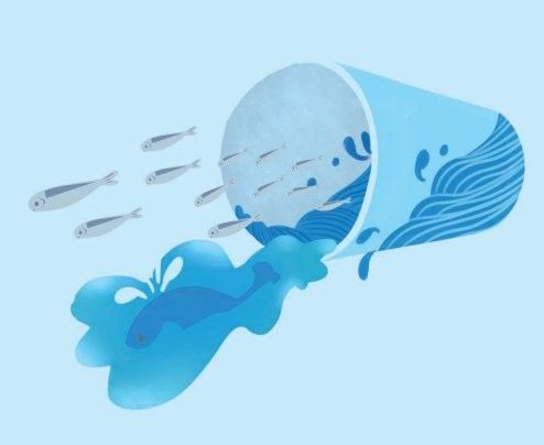 放生鱘龍魚需要多少苗種來源證明？