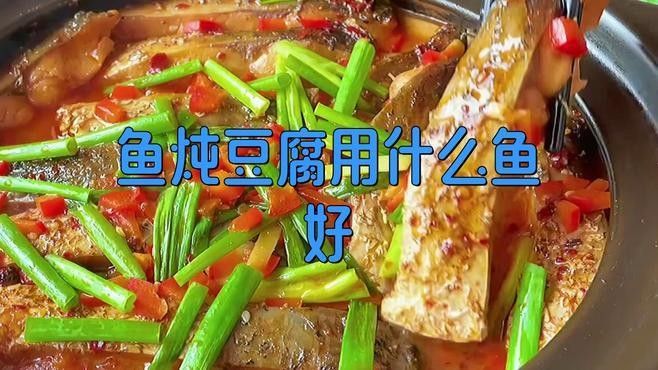 哪種魚最適合燉豆腐？