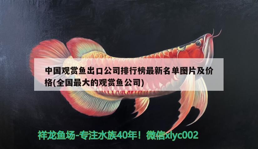 綠水游龍