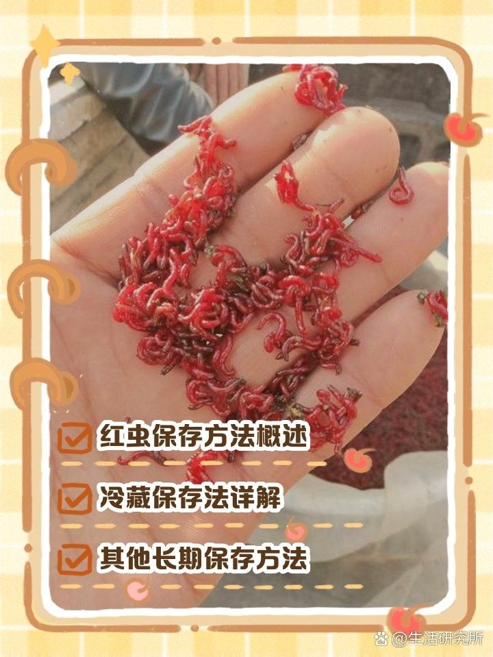 活餌冷凍后還能存活嗎？（活餌冷凍后還能存活嗎）
