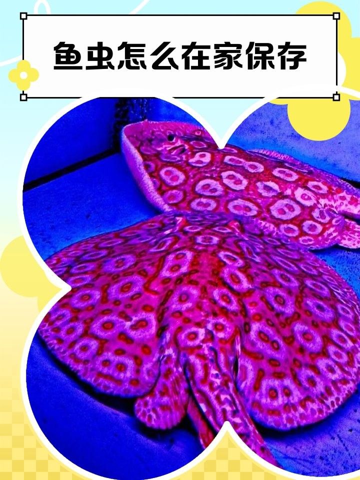 活餌冷凍后還能存活嗎？（活餌冷凍后還能存活嗎）