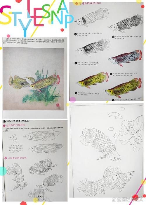 龍魚簡筆畫步驟（兒童簡筆畫之龍魚簡筆畫）