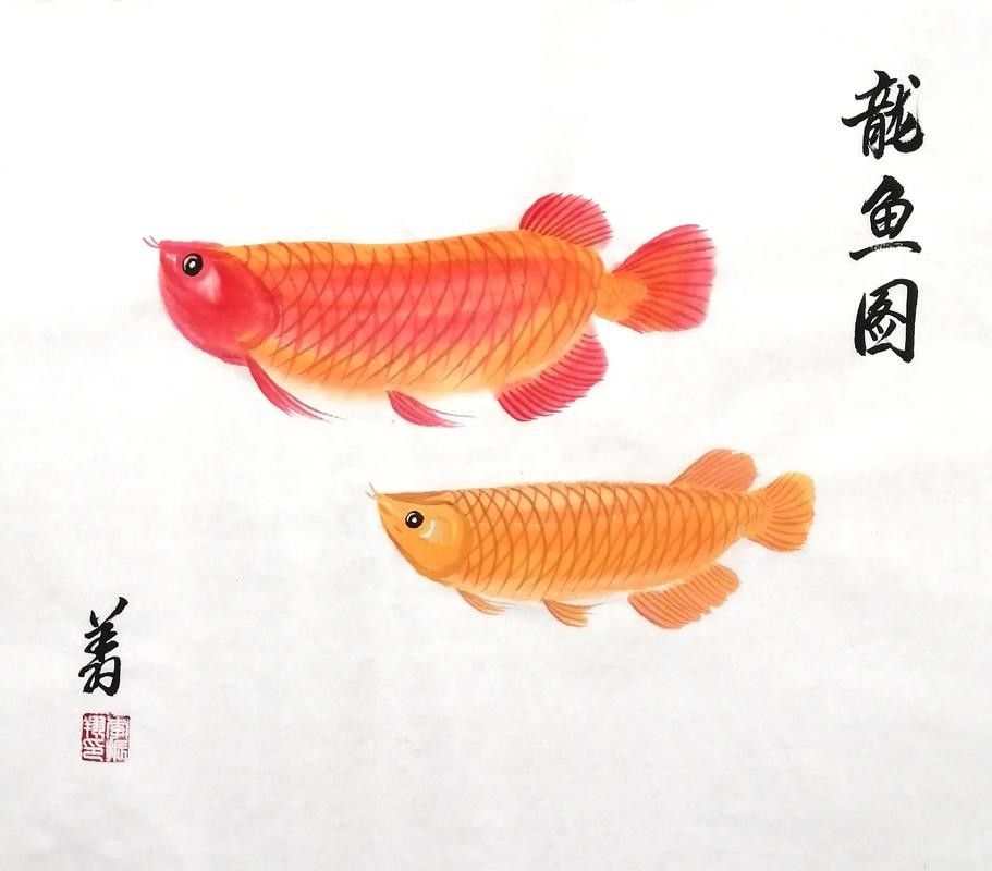 龍魚簡筆畫步驟（兒童簡筆畫之龍魚簡筆畫）