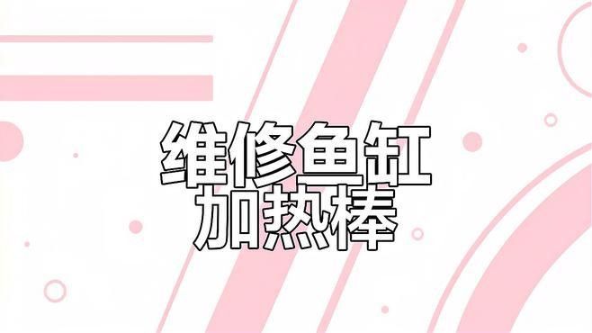 如何清潔和維護魚缸恒溫加熱器（家用魚缸恒溫加熱器如何清潔和維護魚缸恒溫加熱器）