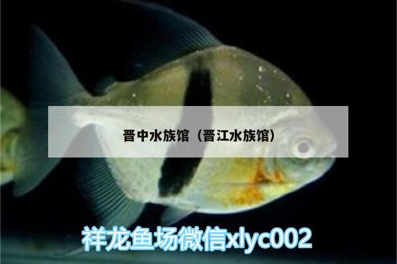 晉中水族館（晉江水族館）