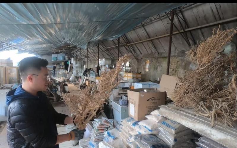 如何聯系濰坊龍魚專賣店（如何找到濰坊龍魚專賣店？）