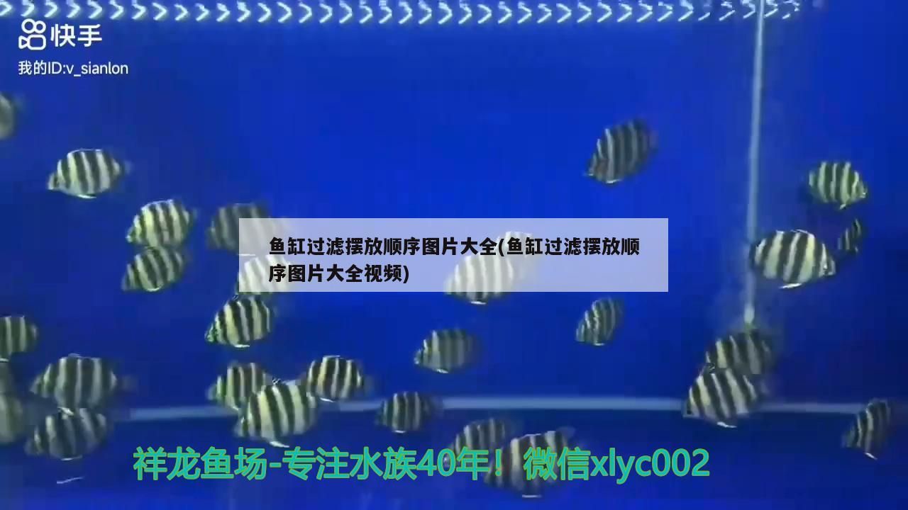 魚缸過濾擺放順序圖片大全(魚缸過濾擺放順序圖片大全視頻) 魚缸過濾擺放順序圖片大全(魚缸過濾擺放順序圖片大全視頻) 觀賞魚百科
