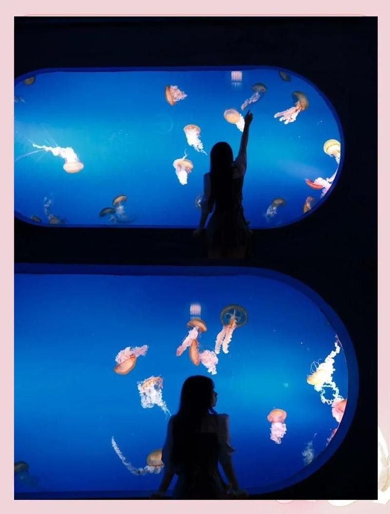 如何在拍攝中避免魚缸反光？（拍攝魚缸反光怎么辦）