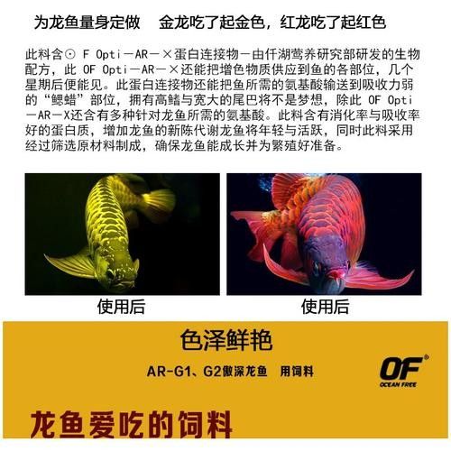 仟湖OFG2系列有哪些規(guī)格 仟湖OFG2系列有哪些規(guī)格 龍魚(yú)百科 第4張