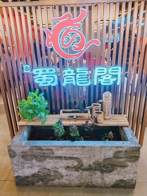 成都龍魚閣水族館有哪些特色品種（成都龍魚閣水族館有哪些特色？）