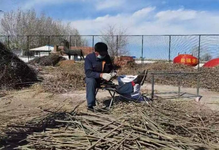 列舉更多黑龍江故事影響現代藝術創作的案例