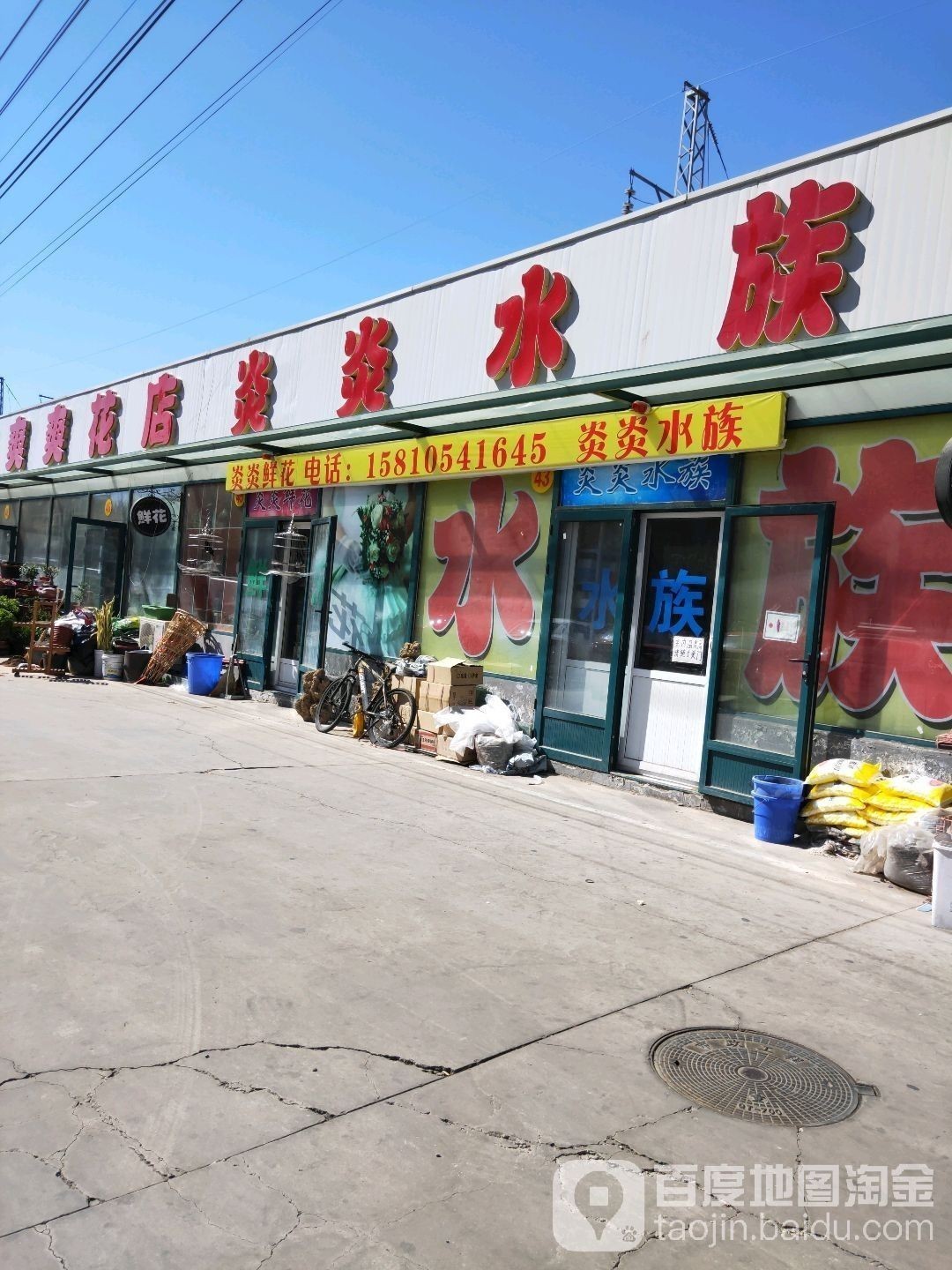 松山哪個水族館龍魚好？祥龍魚場龍魚