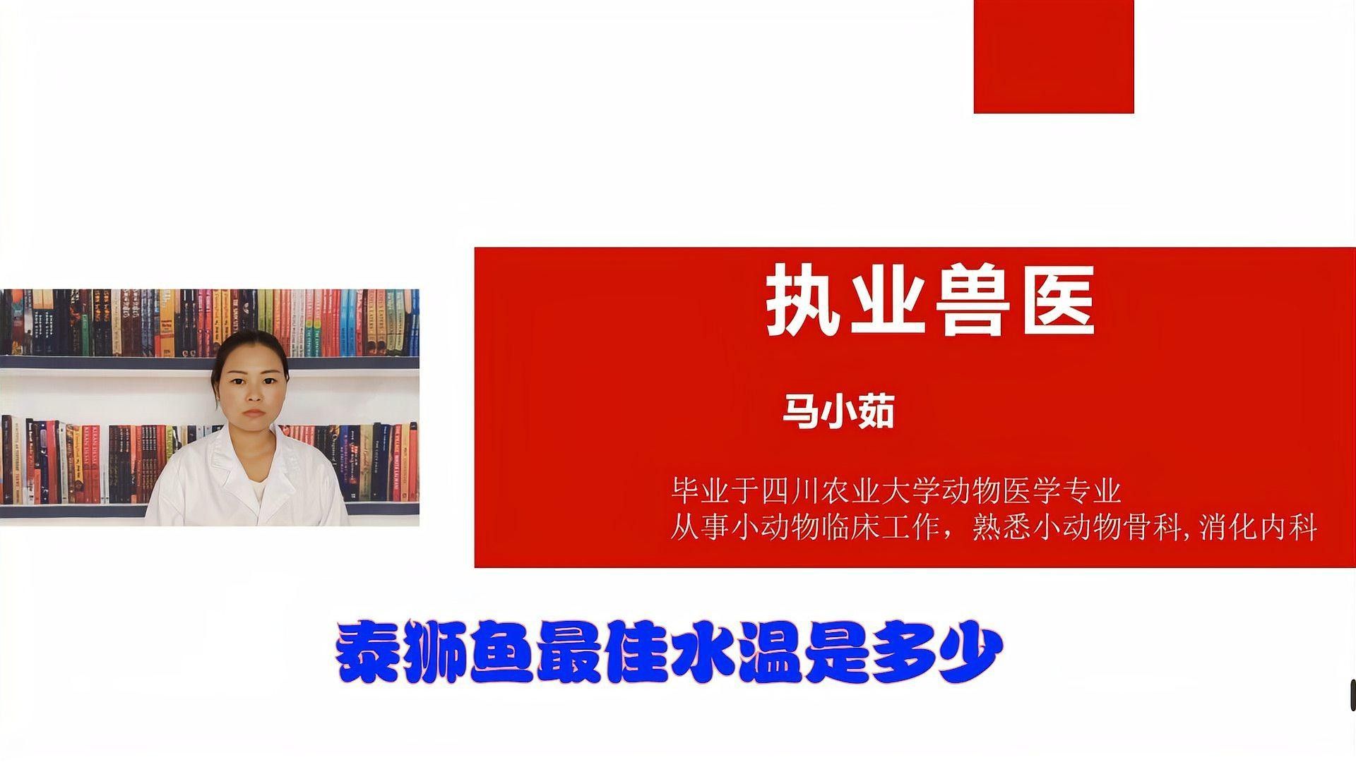 2米魚缸可以養幾條泰獅？