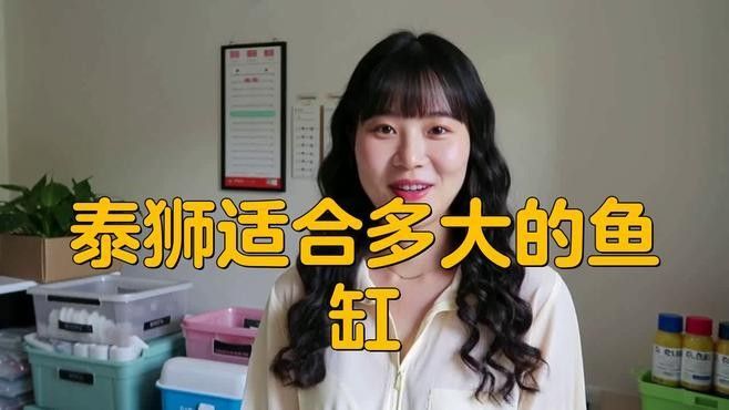 2米魚缸可以養幾條泰獅？