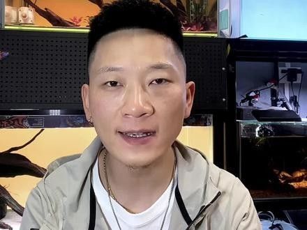 黃金眼鏡蛇雷龍發色需要多長時間？（黃金眼鏡蛇雷龍發色需要多長時間黃金眼鏡蛇雷龍發色過程）