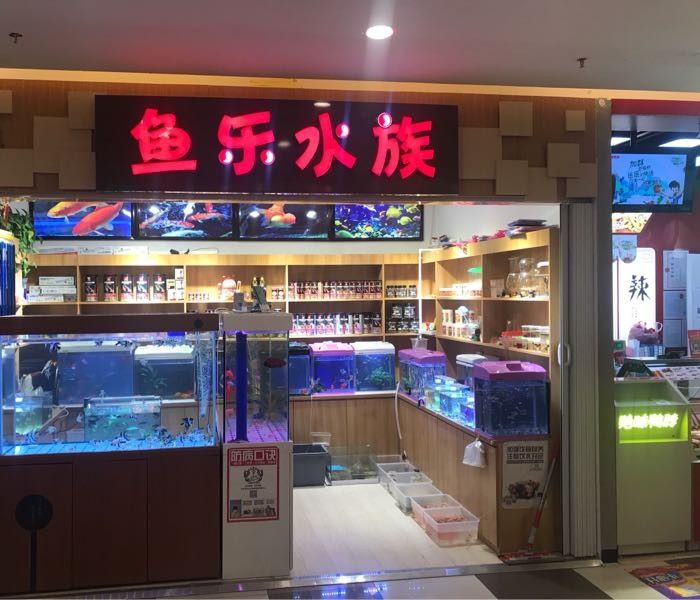 濂溪哪個水族館龍魚好？祥龍魚場龍魚（探討濂溪哪個水族館的龍魚表現(xiàn)最佳）