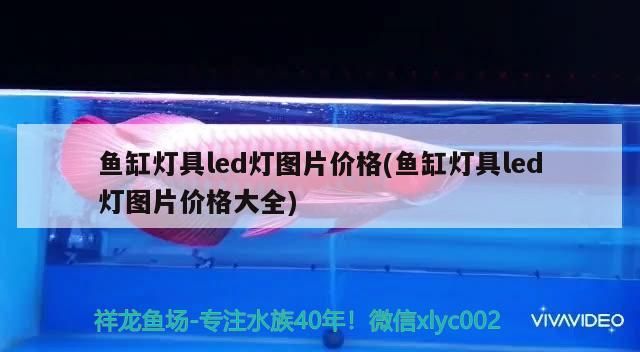 魚缸燈具led燈圖片價格(魚缸燈具led燈圖片價格大全) 魚缸燈具led燈圖片價格(魚缸燈具led燈圖片價格大全) 觀賞魚百科
