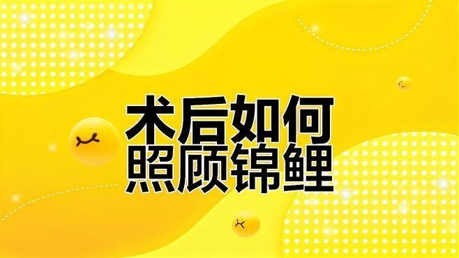 龍魚麻醉后多久可以喂食（玄寵宿舍麻醉后多久可以吃東西博禾醫生麻醉手術后多久可以吃東西）