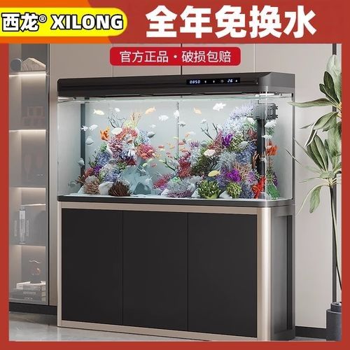 西龍魚缸的價(jià)格范圍