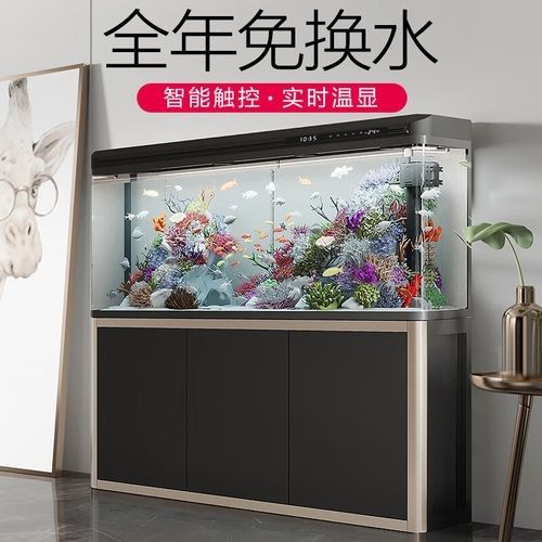 西龍魚缸的價(jià)格范圍