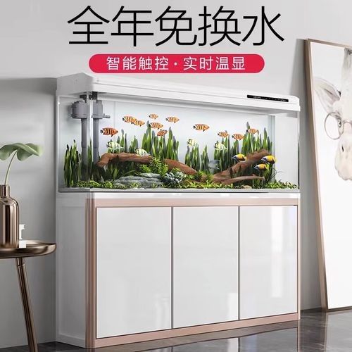 西龍魚缸的價(jià)格范圍