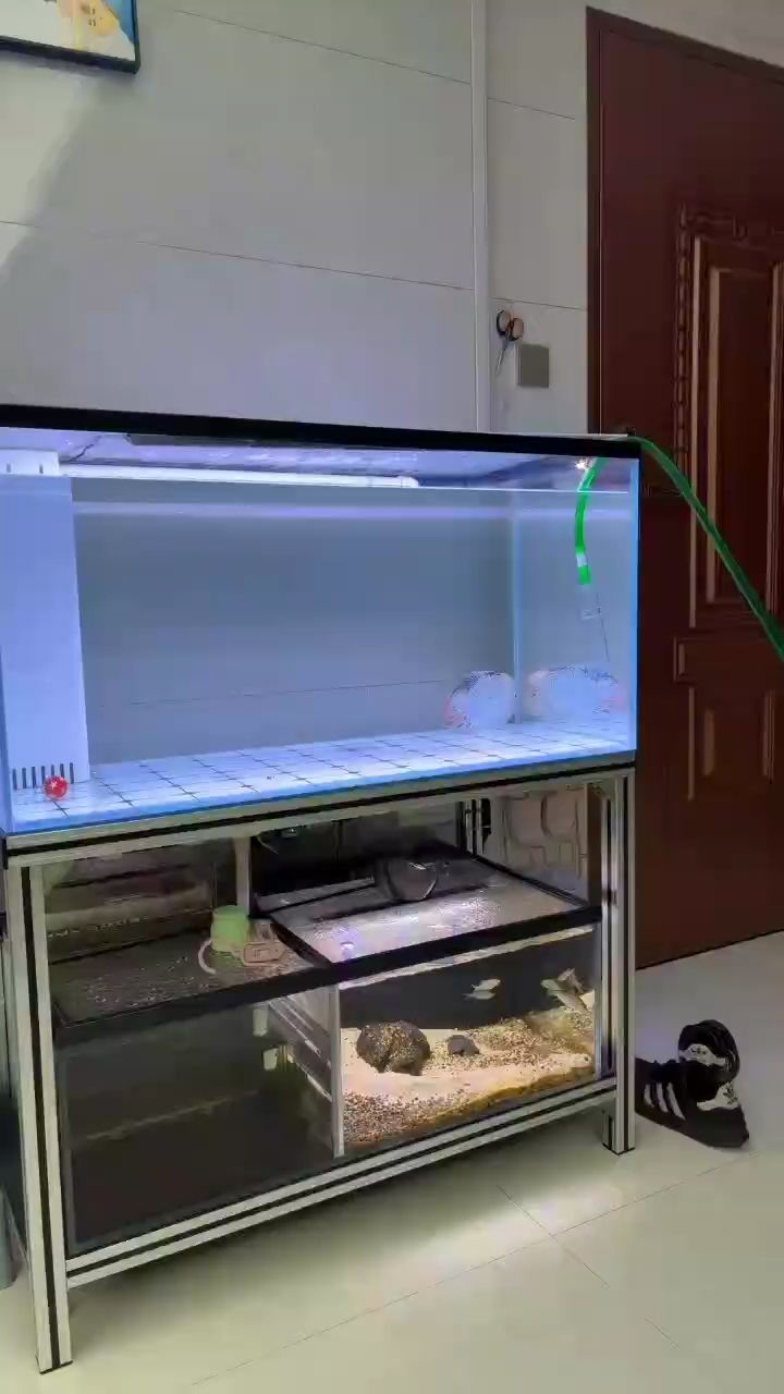 養(yǎng)它太費水了～