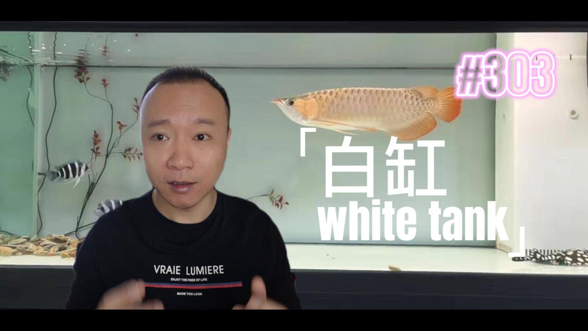 龍魚退垢期如何護理
