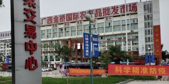 南寧有哪些可靠的金龍魚批發商