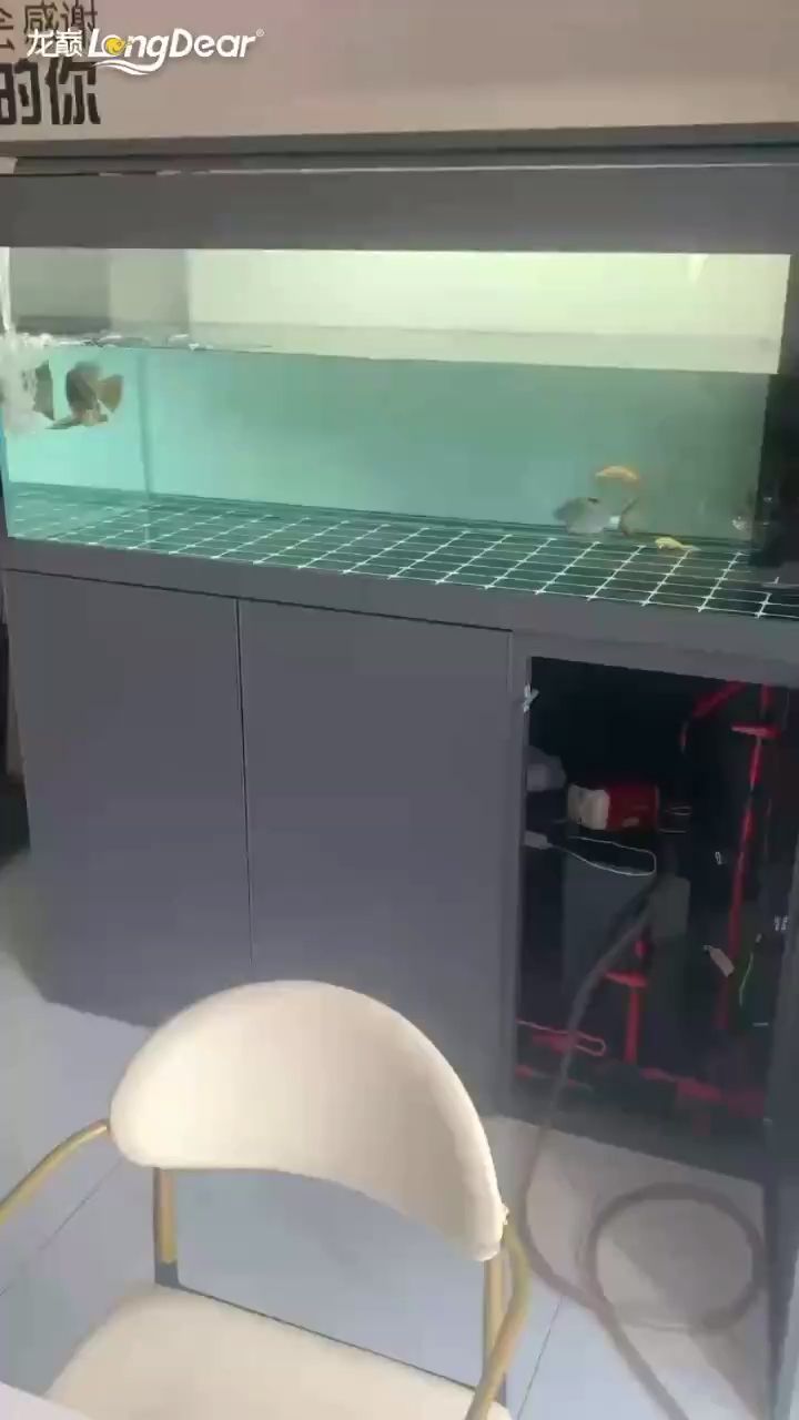 金龍（小伙不帥_人見人愛評論：在哪買的啊啊，在哪買的）