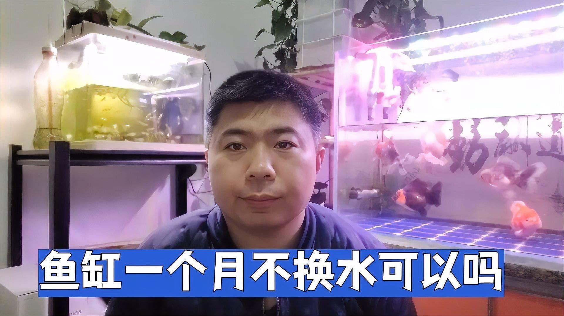 80缸養魚需要定期換水嗎？（80缸養魚是否需要定期換水？）
