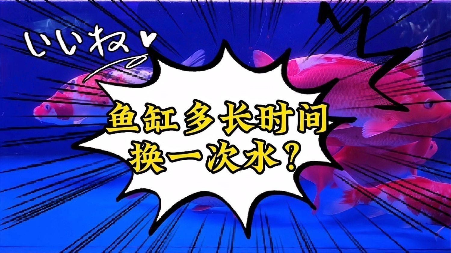 80缸養魚需要定期換水嗎？（80缸養魚是否需要定期換水？）