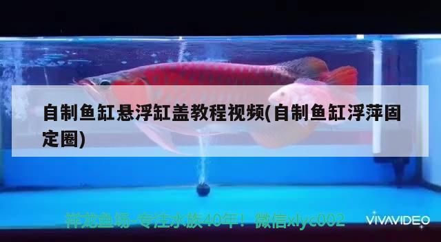 自制魚缸懸浮缸蓋教程視頻(自制魚缸浮萍固定圈)