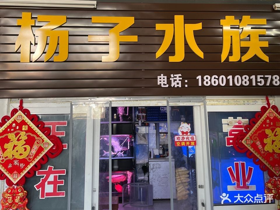 中泉子哪個水族館龍魚好？祥龍魚場龍魚