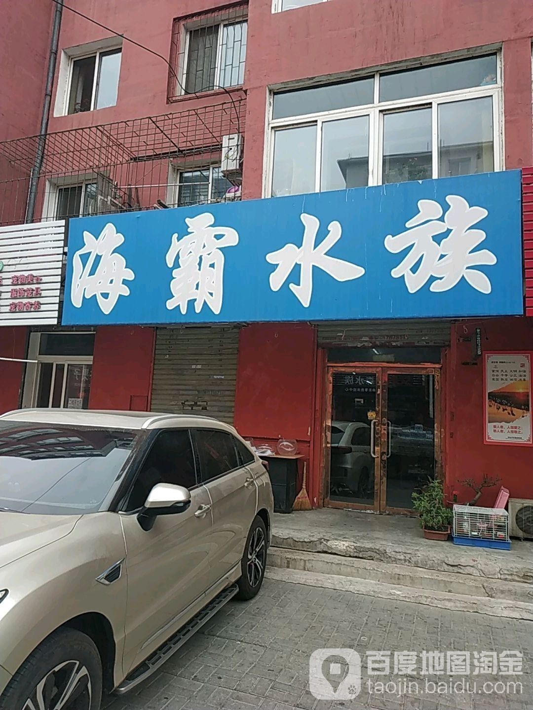 雙臺子哪個水族館龍魚好？祥龍魚場龍魚