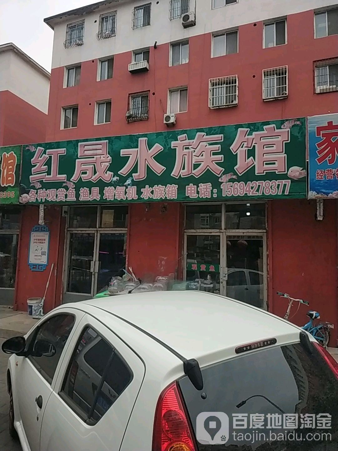 雙臺子哪個水族館龍魚好？祥龍魚場龍魚