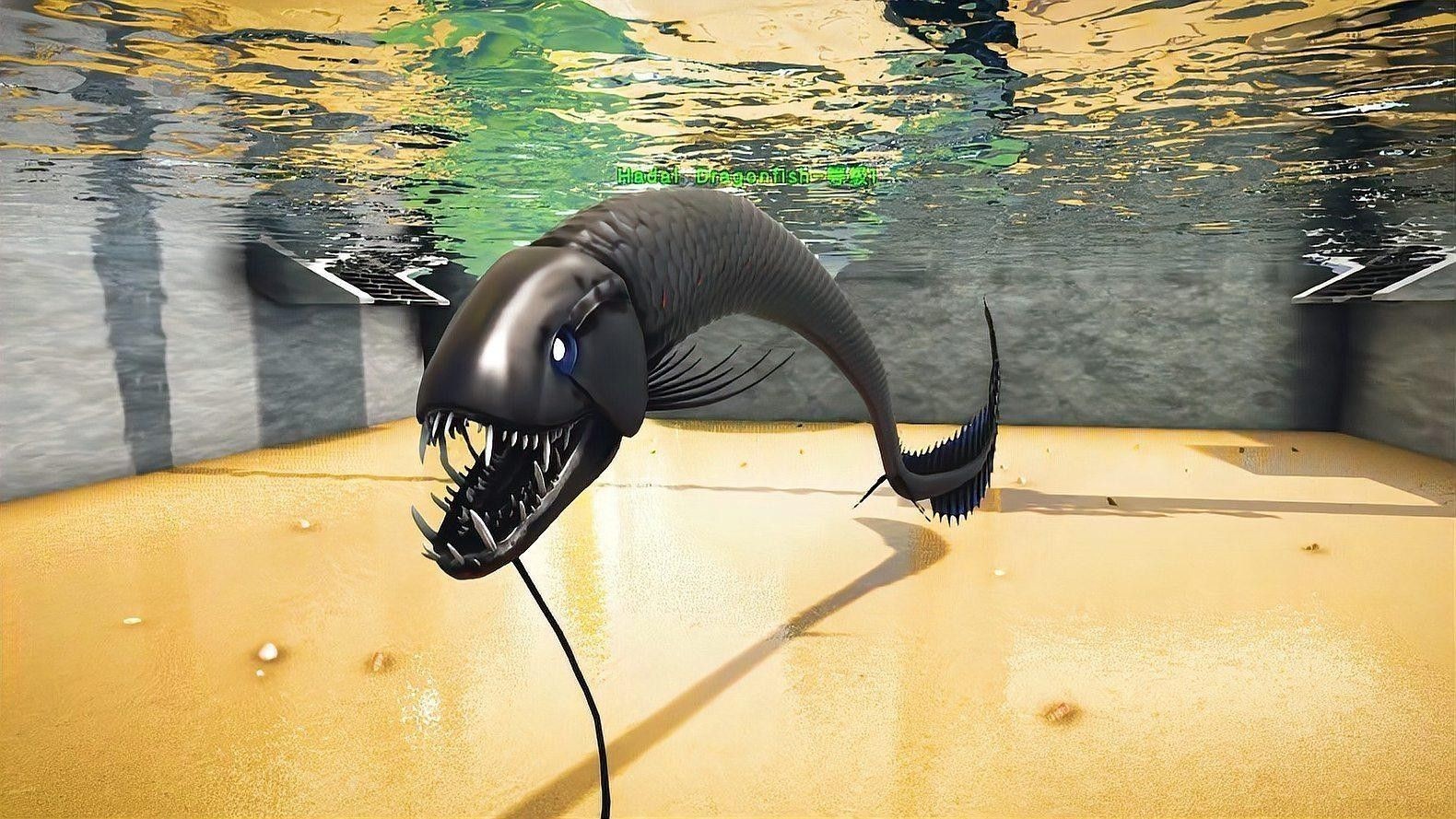 深海龍魚和食人魚哪個更厲害